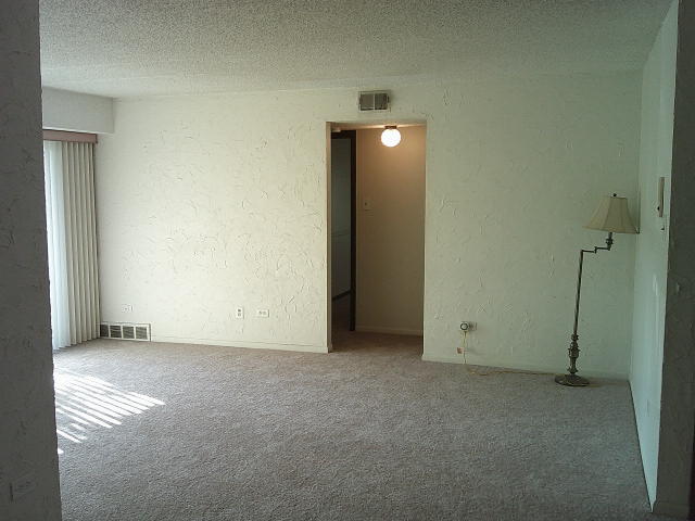 4855 West 137th Street, Unit C01 Crestwood, IL 60418 - Photo 18 of 34