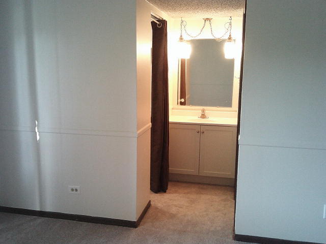 4855 West 137th Street, Unit C01 Crestwood, IL 60418 - Photo 26 of 34