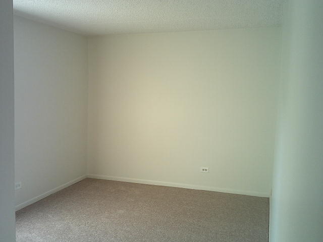 4855 West 137th Street, Unit C01 Crestwood, IL 60418 - Photo 31 of 34