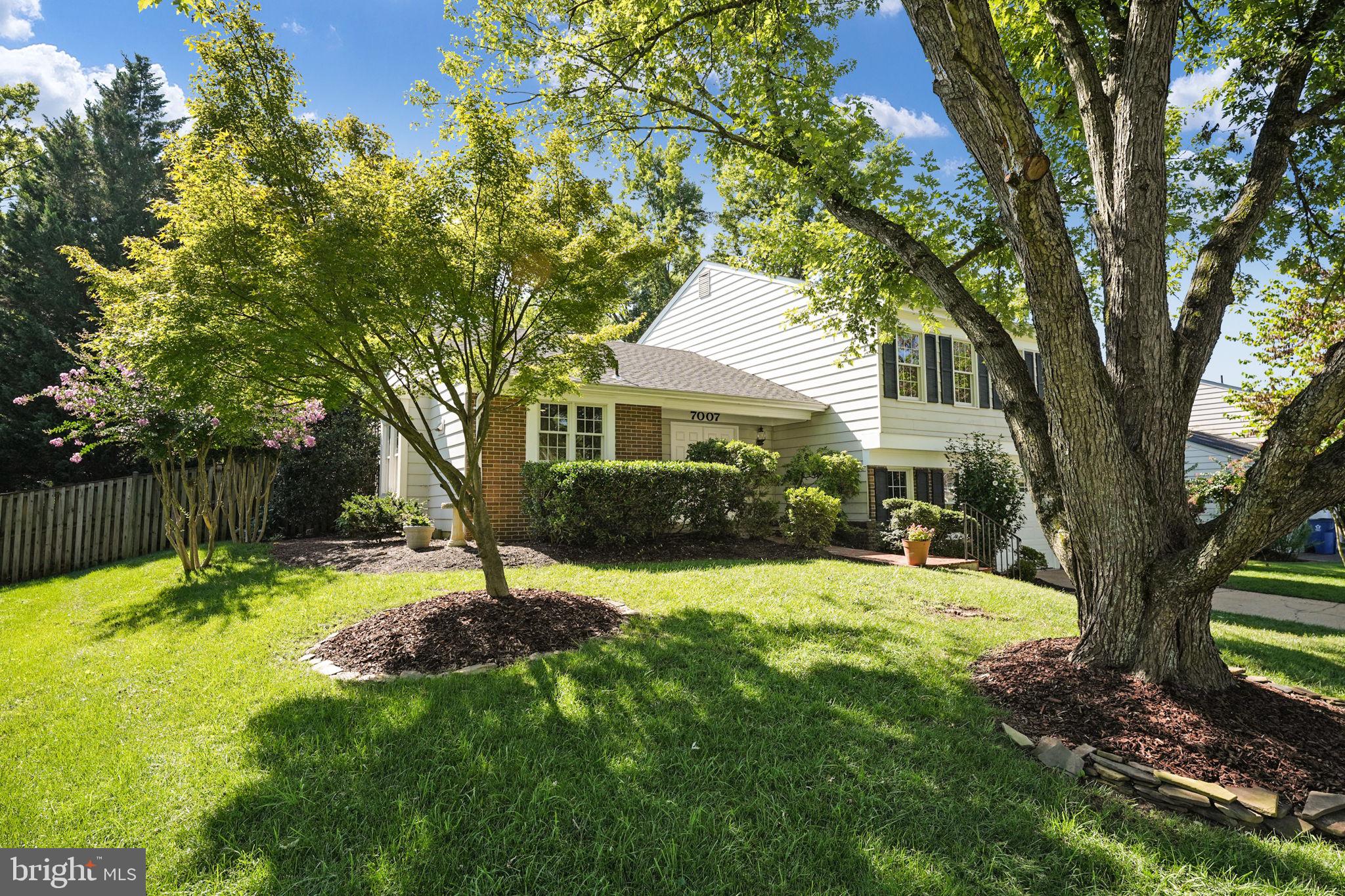 7007 Whetstone Road Alexandria, VA 22306 - Photo 3 of 44