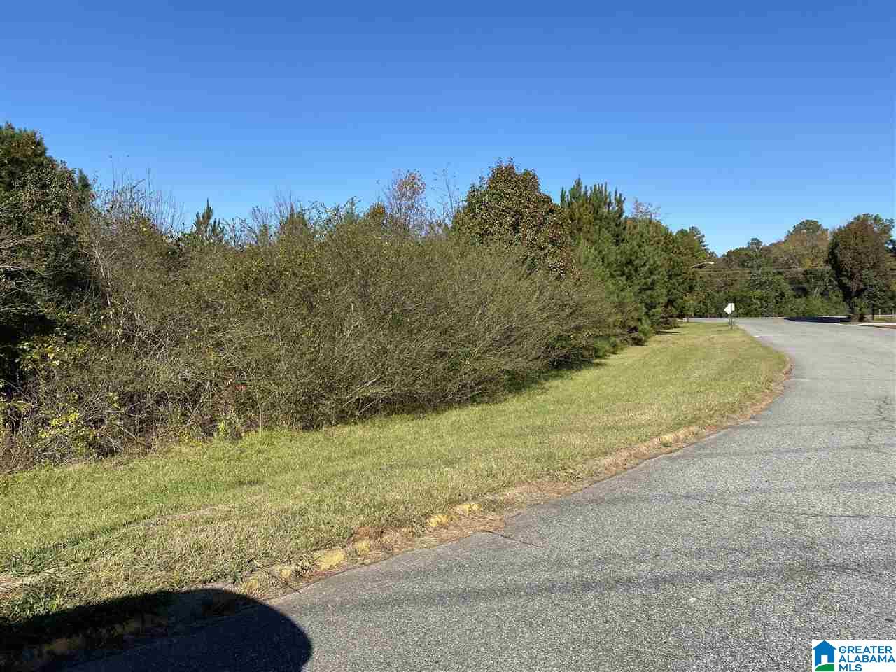 0 Highway 77 Talladega, AL 35160 - Photo 2 of 3