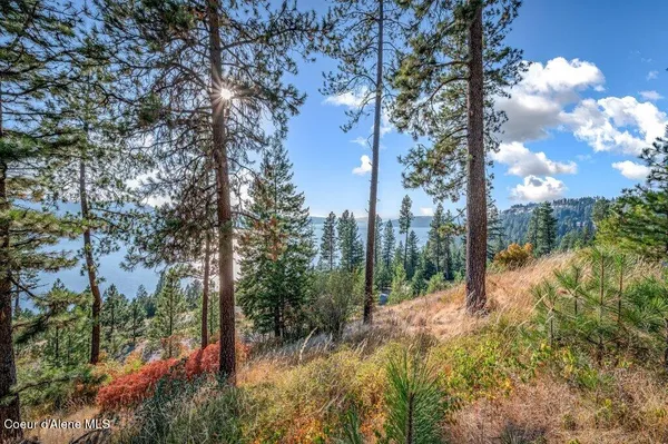 $85,000 | Nna Bedrock Drive, Harrison, ID 83833