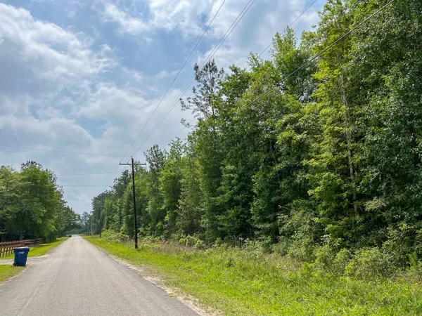 $200,925 | 0 Elise Gore Drive, Silsbee, TX 77656