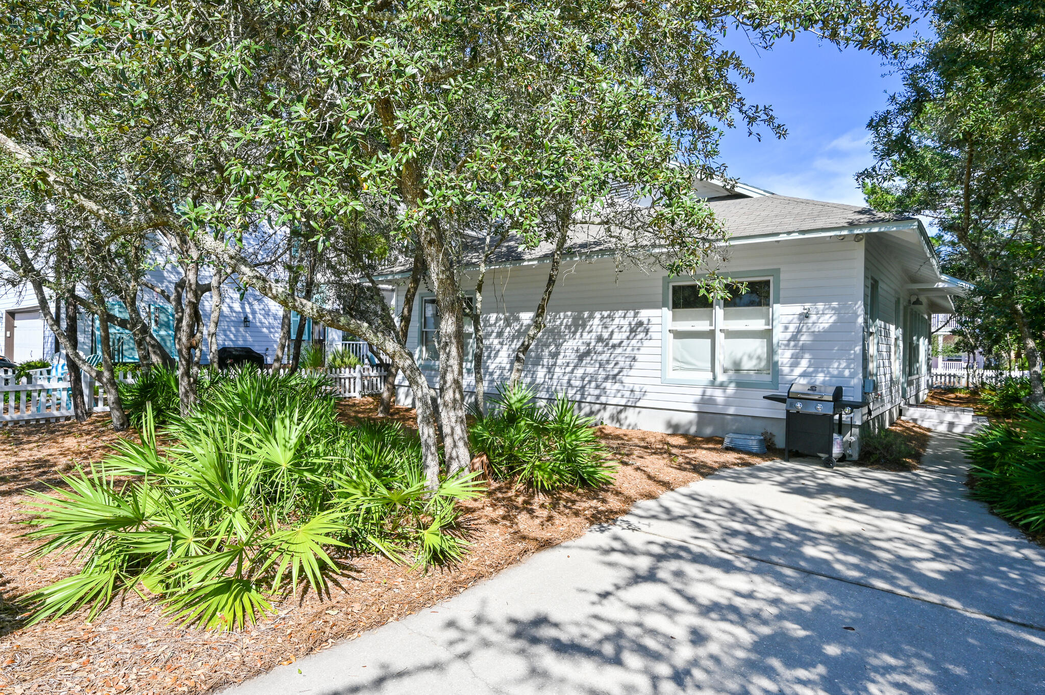 65 Cassine Way Santa Rosa Beach, FL 32459 - Photo 25 of 38 a view of a yard with plants and large trees