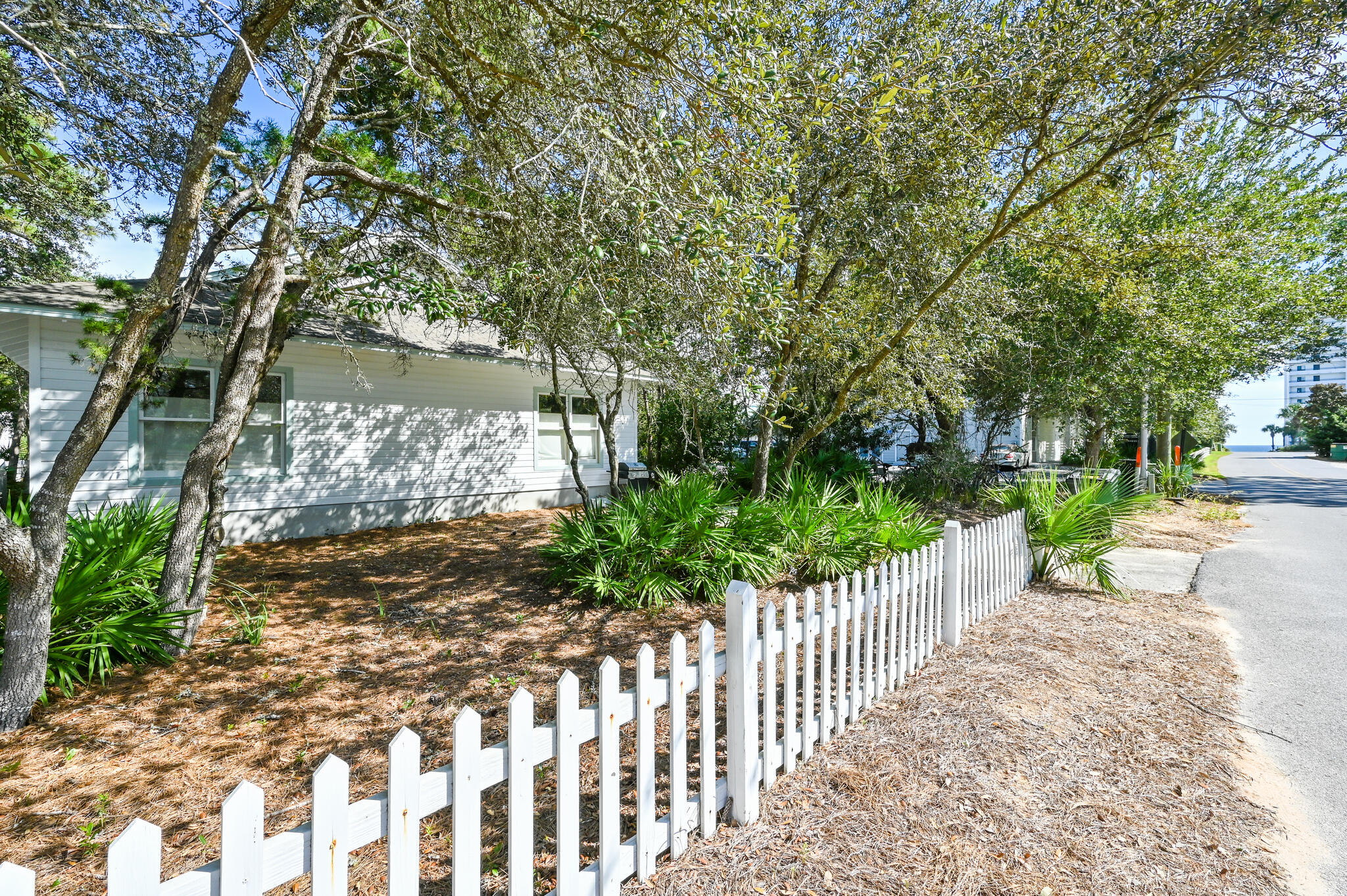 65 Cassine Way Santa Rosa Beach, FL 32459 - Photo 26 of 38 a view of a yard with flower plants