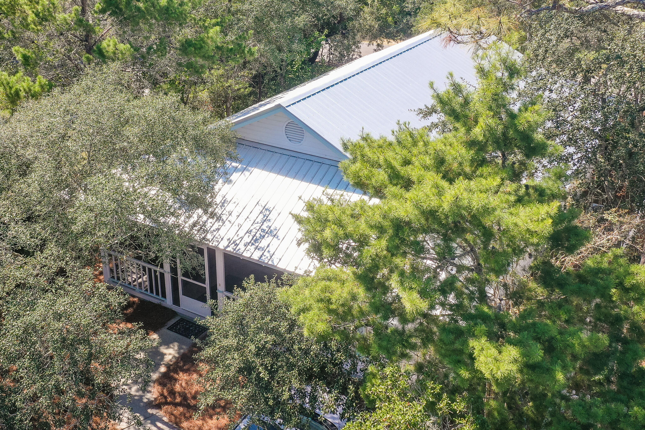 65 Cassine Way Santa Rosa Beach, FL 32459 - Photo 3 of 38 a backyard of a house with lots of green space