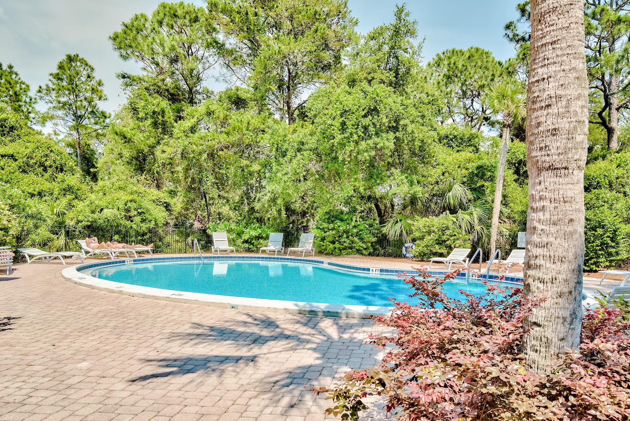 65 Cassine Way Santa Rosa Beach, FL 32459 - Photo 30 of 38 a view of a swimming pool with an outdoor space