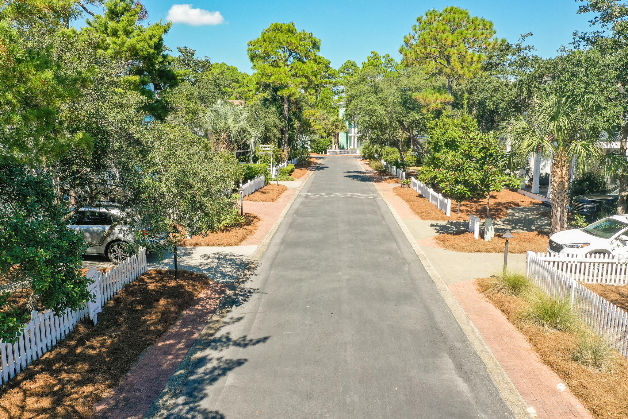 65 Cassine Way Santa Rosa Beach, FL 32459 - Photo 4 of 38 a view of a swimming pool with a patio and backyard