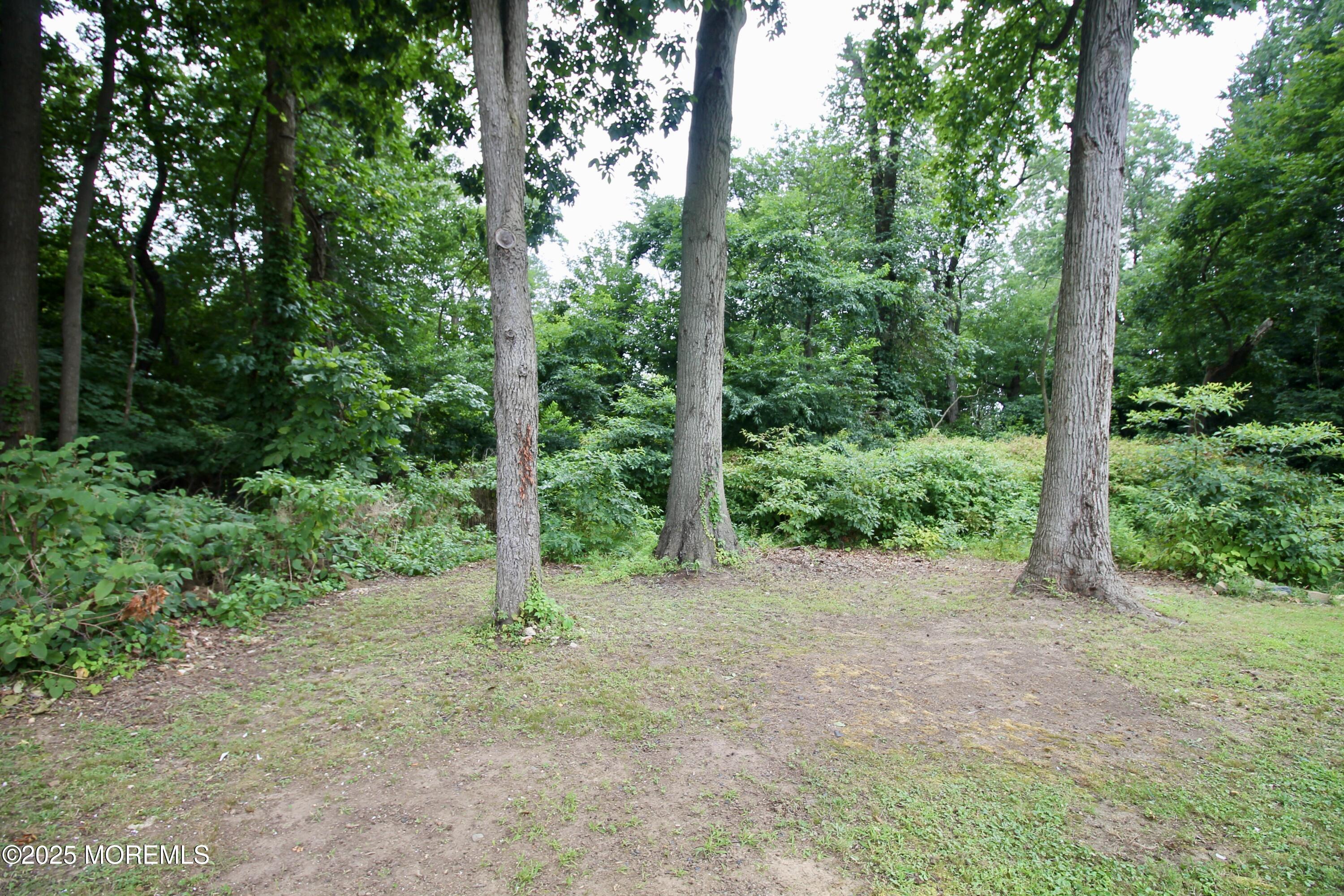 33 Weaverville Road Freehold, NJ 07728 - Photo 24 of 26 27DA8118-21D5-45B0-94F4-230217D8DE5B_1_2