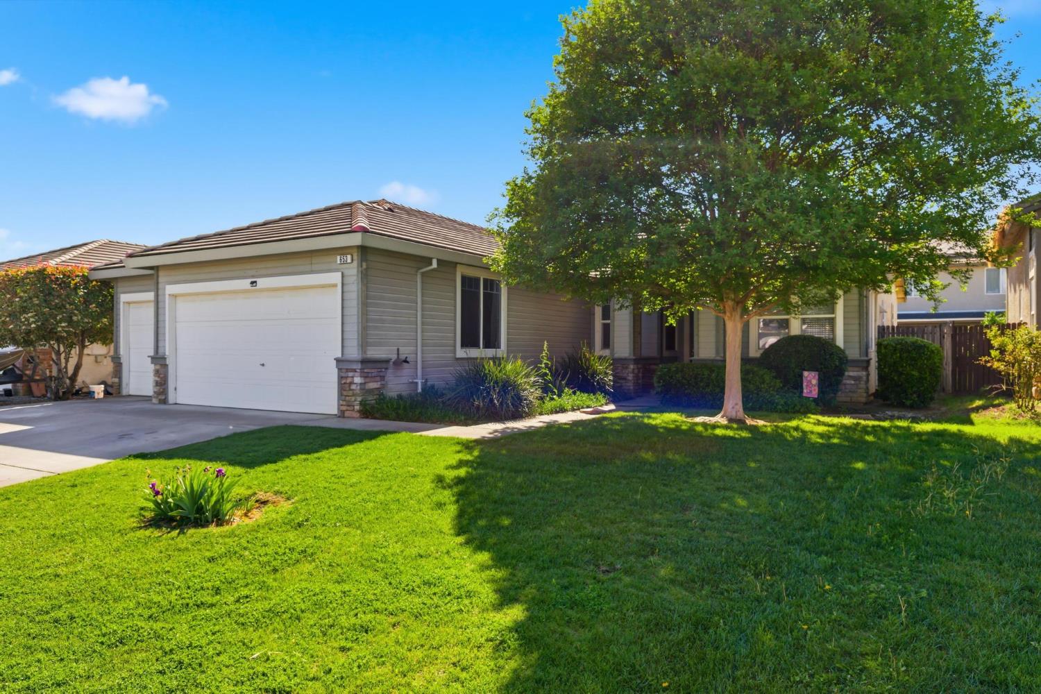 a front view of house with a garden