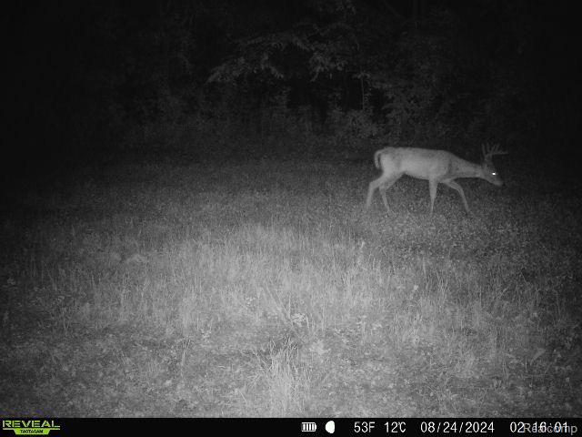 V/l Blake Road Jackson, MI 49202 - Photo 83 of 97 Gallery Image 83