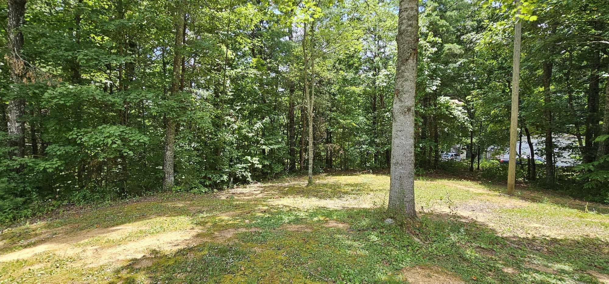 363 Shields Branch Road Tellico Plains, TN 37385 - Photo 37 of 49 Gallery Image 37