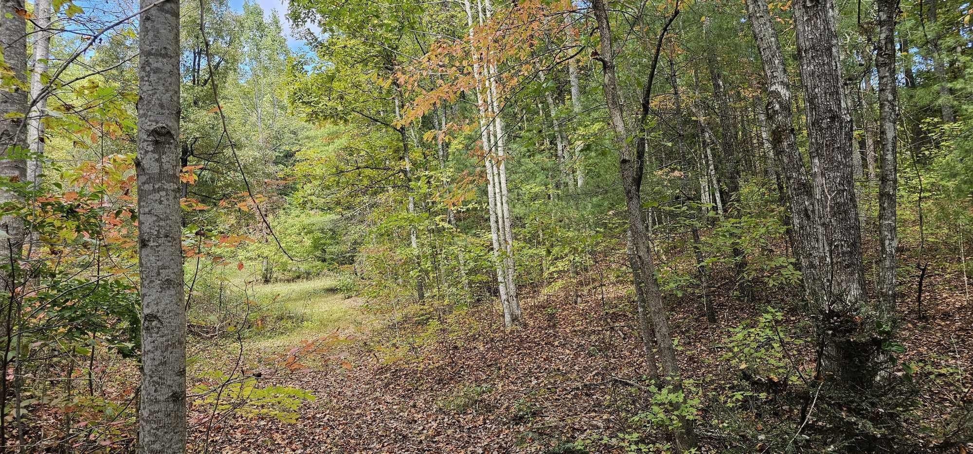 363 Shields Branch Road Tellico Plains, TN 37385 - Photo 39 of 49 Gallery Image 39