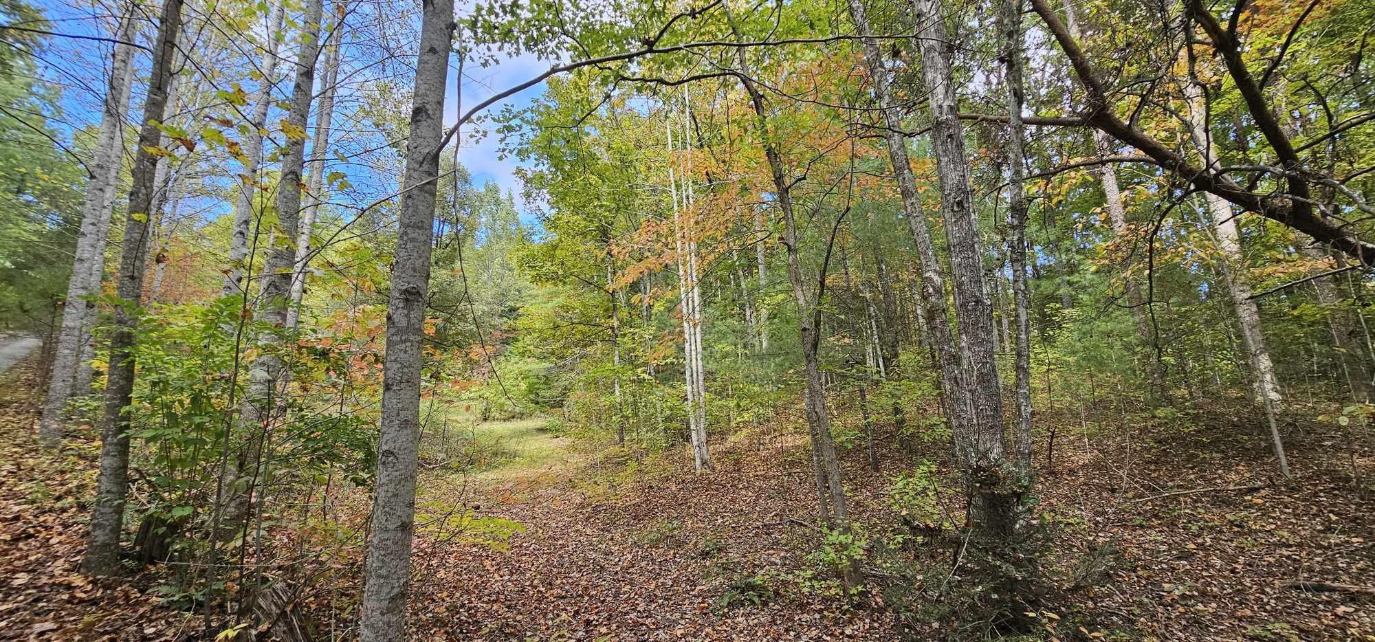 363 Shields Branch Road Tellico Plains, TN 37385 - Photo 40 of 49 Gallery Image 40