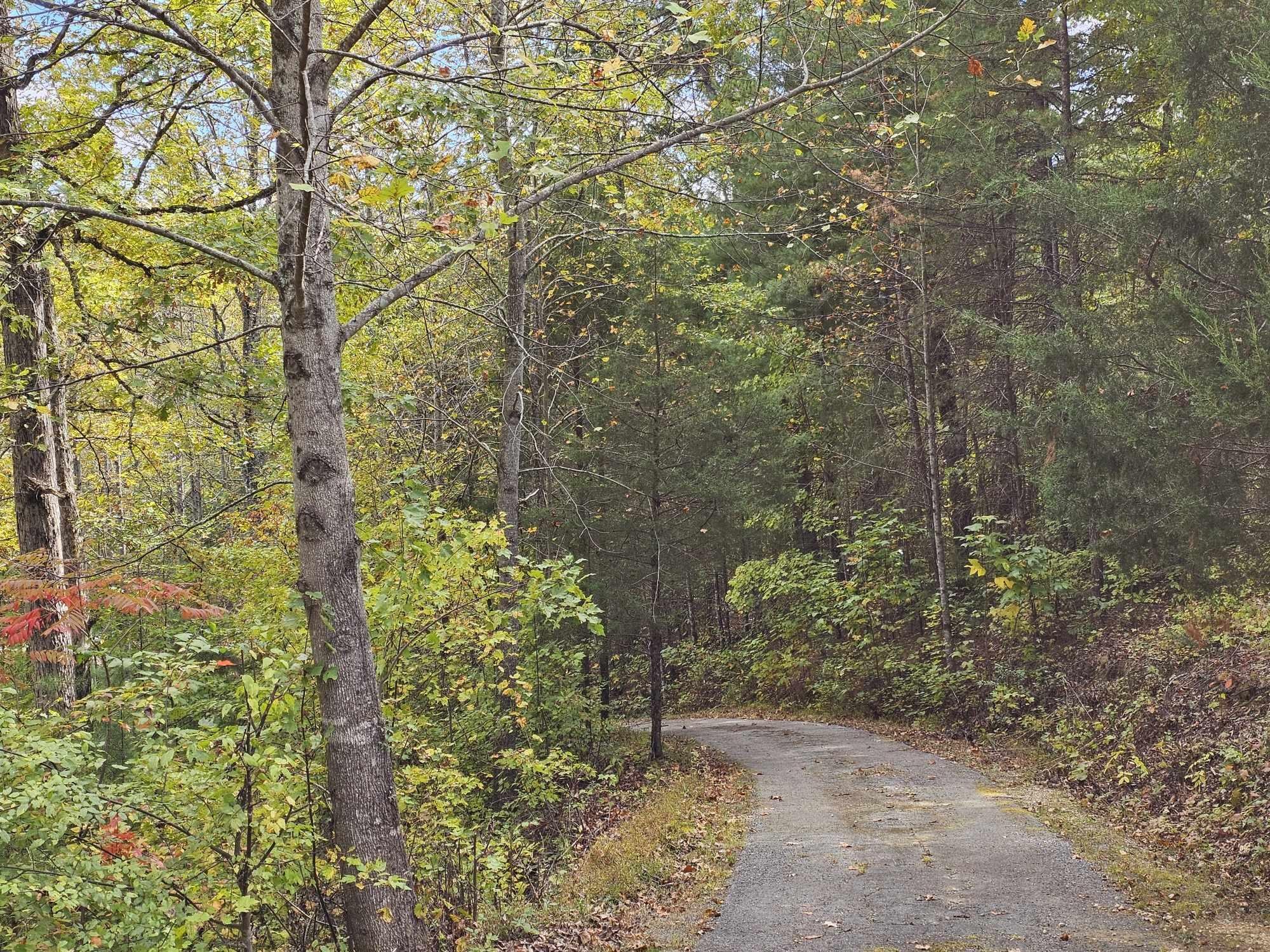 363 Shields Branch Road Tellico Plains, TN 37385 - Photo 41 of 49 Gallery Image 41