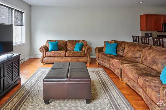 a living room with furniture and a couch