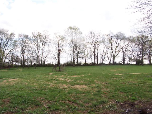 2407 Zion Road Columbia, TN 38401 - Photo 20 of 20 private back yard... trees, yard, birdhouse, nature and far off rolling hills
