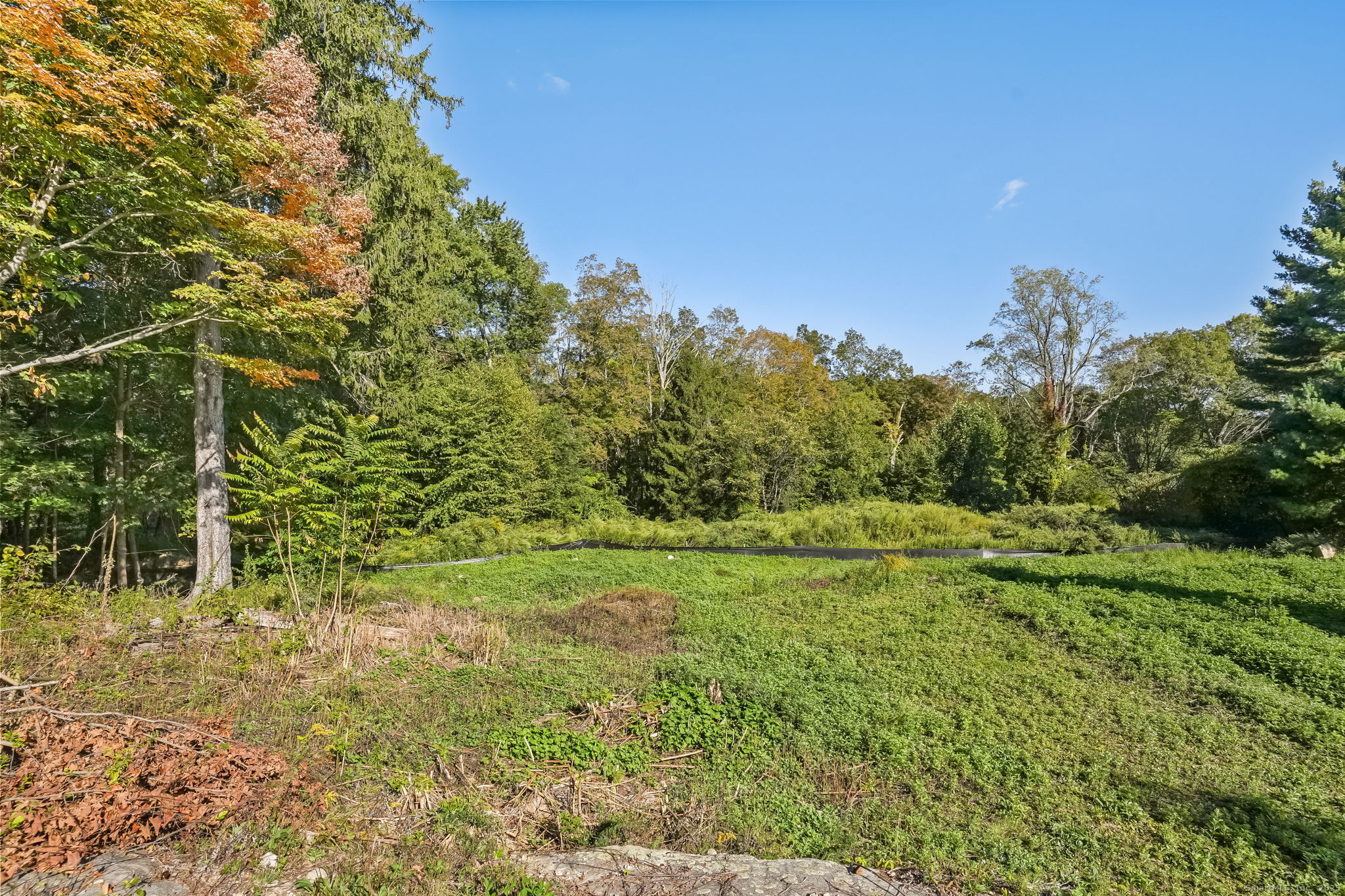 96 Georgetown Road Weston, CT 06883 - Photo 2 of 21 a view of a field with an trees
