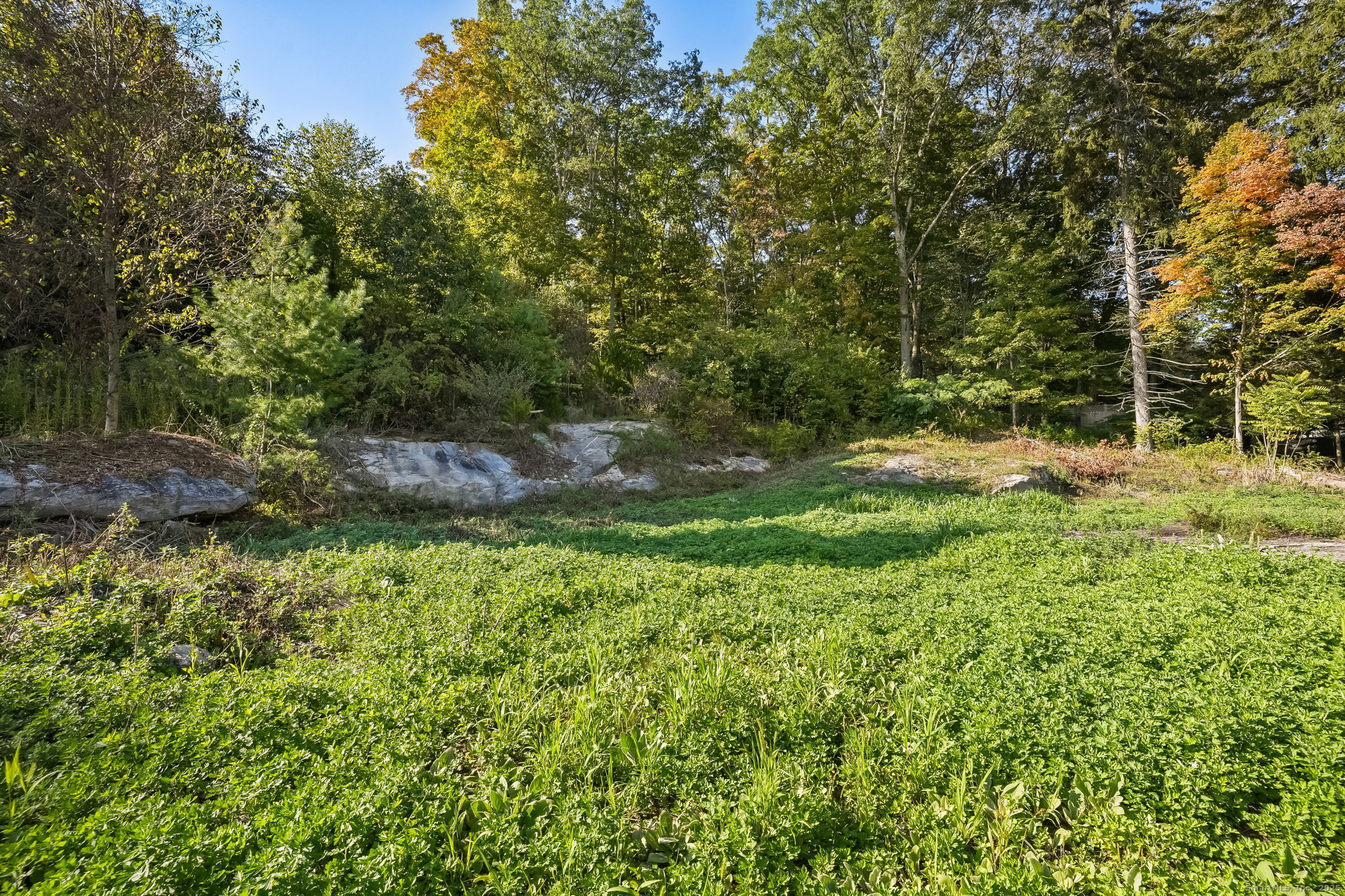 96 Georgetown Road Weston, CT 06883 - Photo 3 of 21 a backyard of a house with a yard and outdoor seating