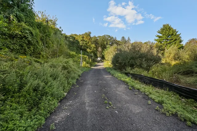 a view of a pathway both side of yard and green space