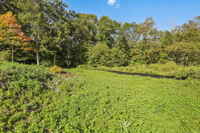 a view of outdoor space and trees