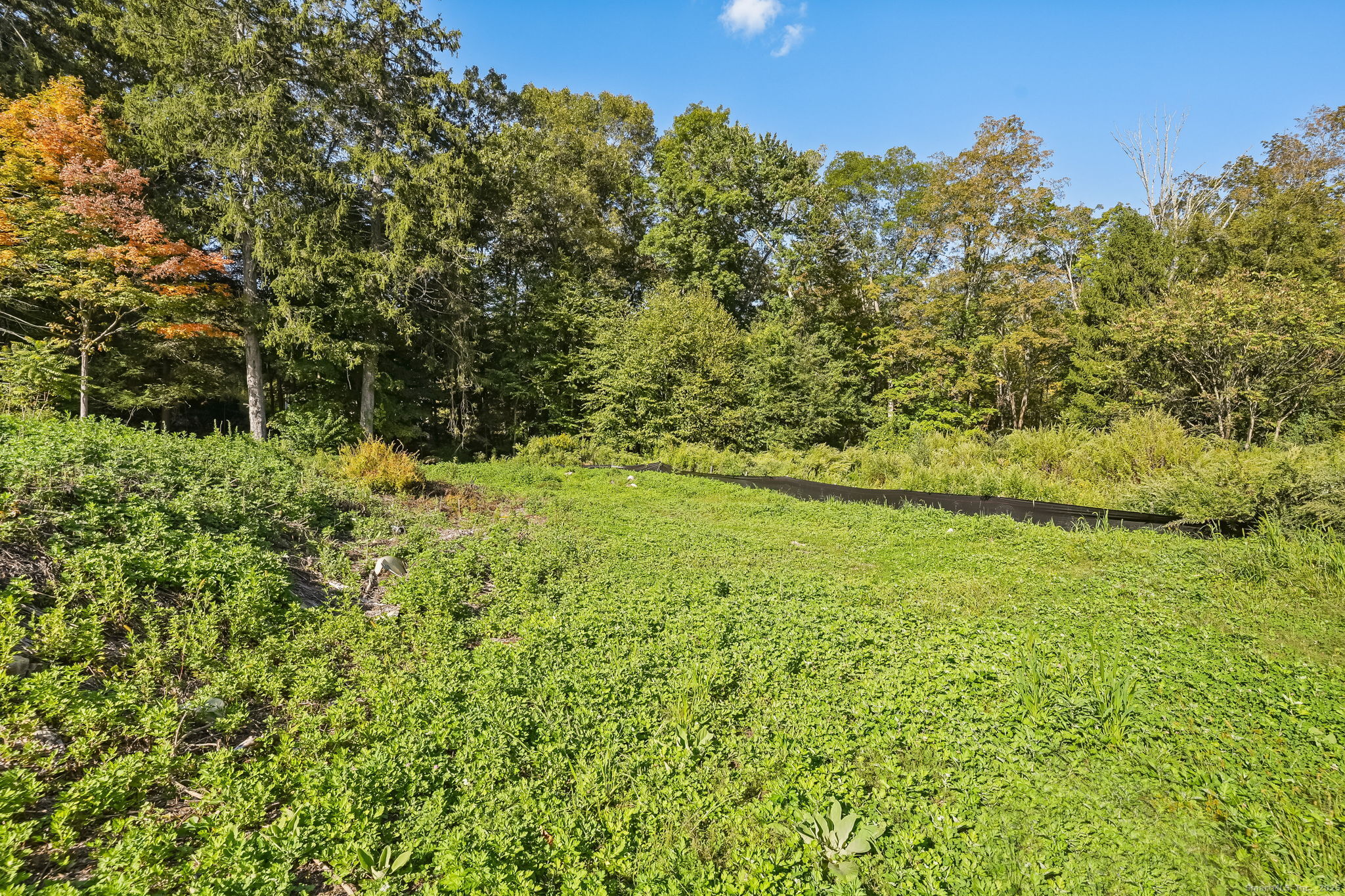 96 Georgetown Road Weston, CT 06883 - Photo 6 of 21 a view of outdoor space and trees