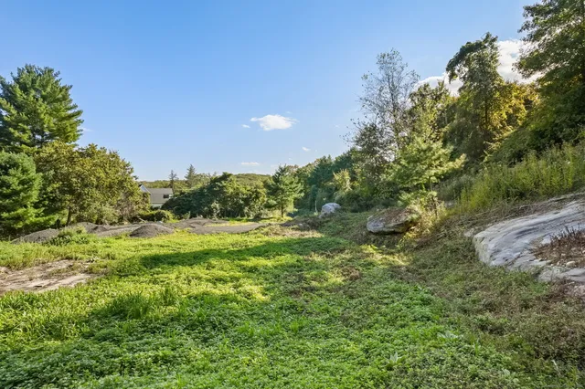 a view of an outdoor space and a yard