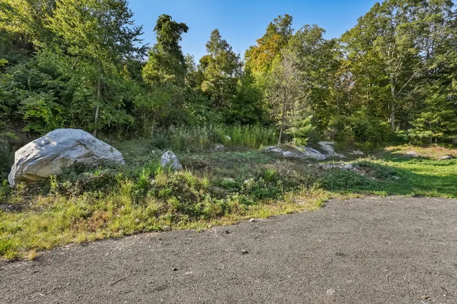 a backyard of a house with lots of green space