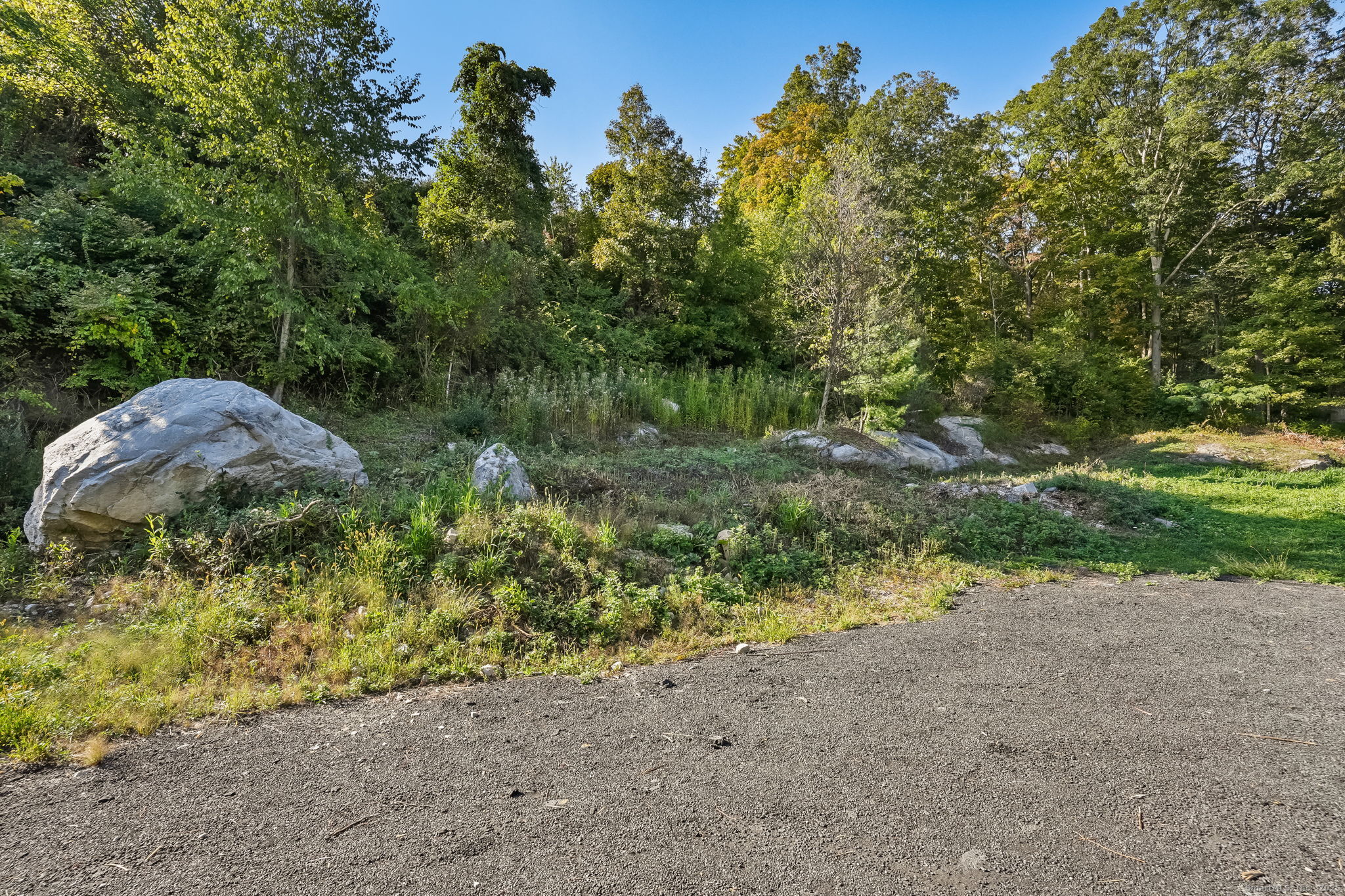96 Georgetown Road Weston, CT 06883 - Photo 9 of 21 a backyard of a house with lots of green space