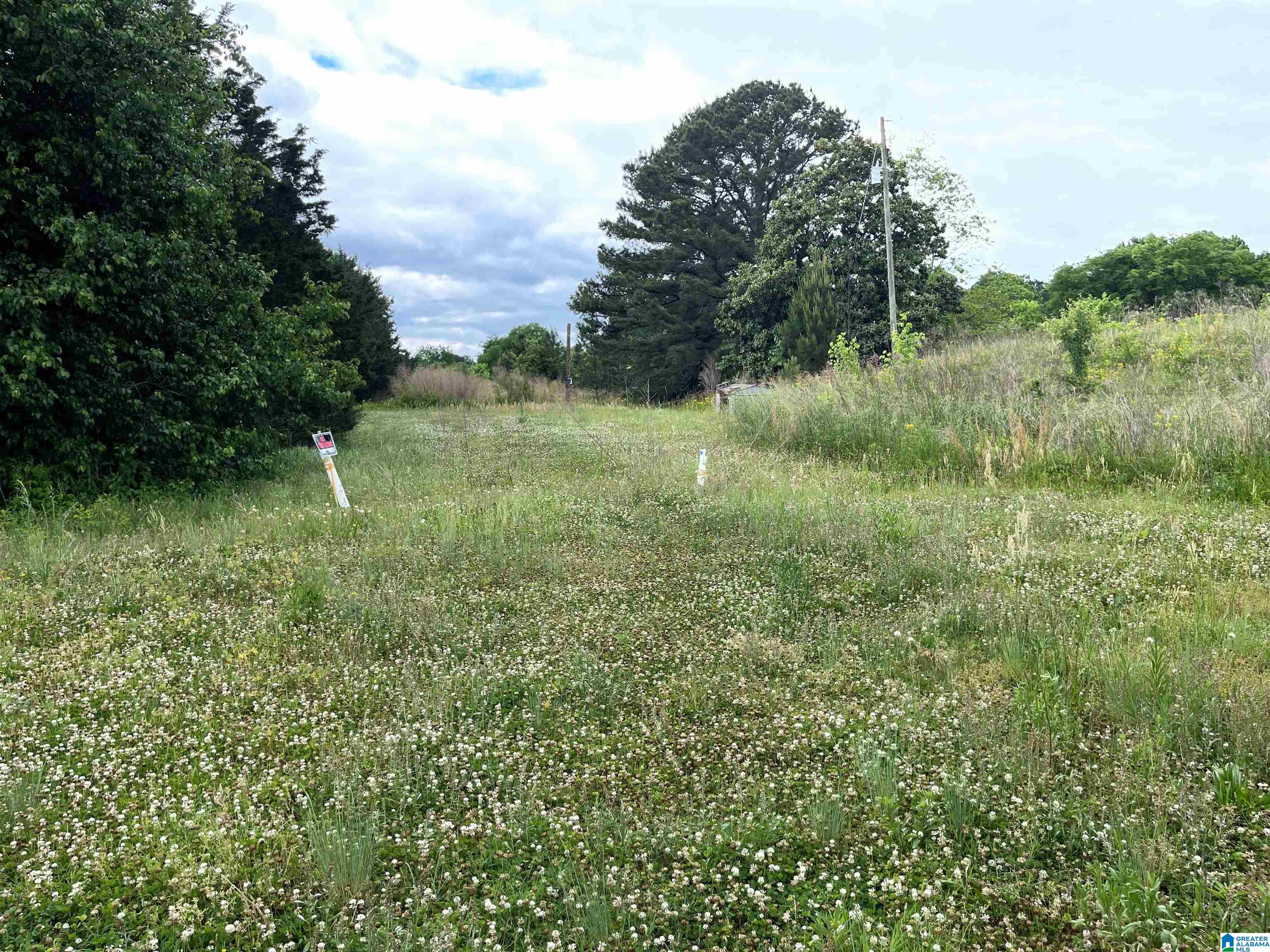 3730 Graves Gap Road Hayden, AL 35079 - Photo 22 of 27
