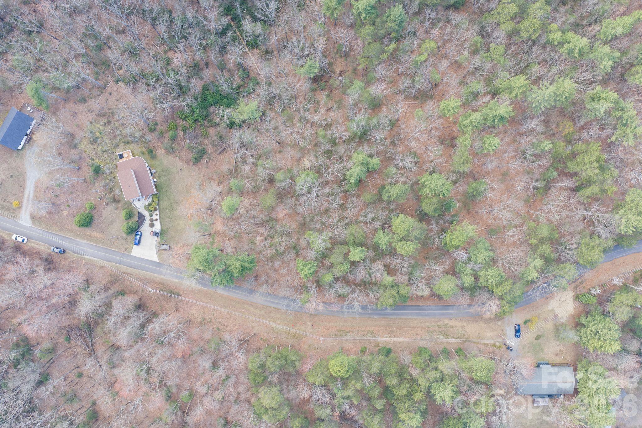 0 Holly Road Connelly Springs, NC 28612 - Photo 2 of 6 a view of a yard with plants and trees
