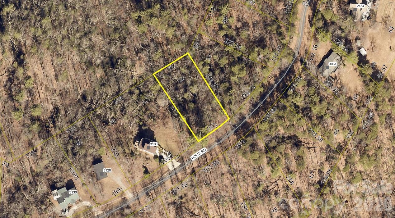 0 Holly Road Connelly Springs, NC 28612 - Photo 6 of 6 a picture of a tree