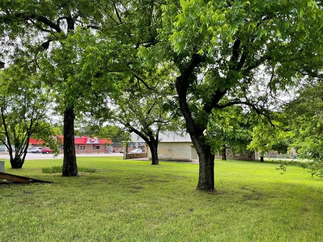 a view of green field