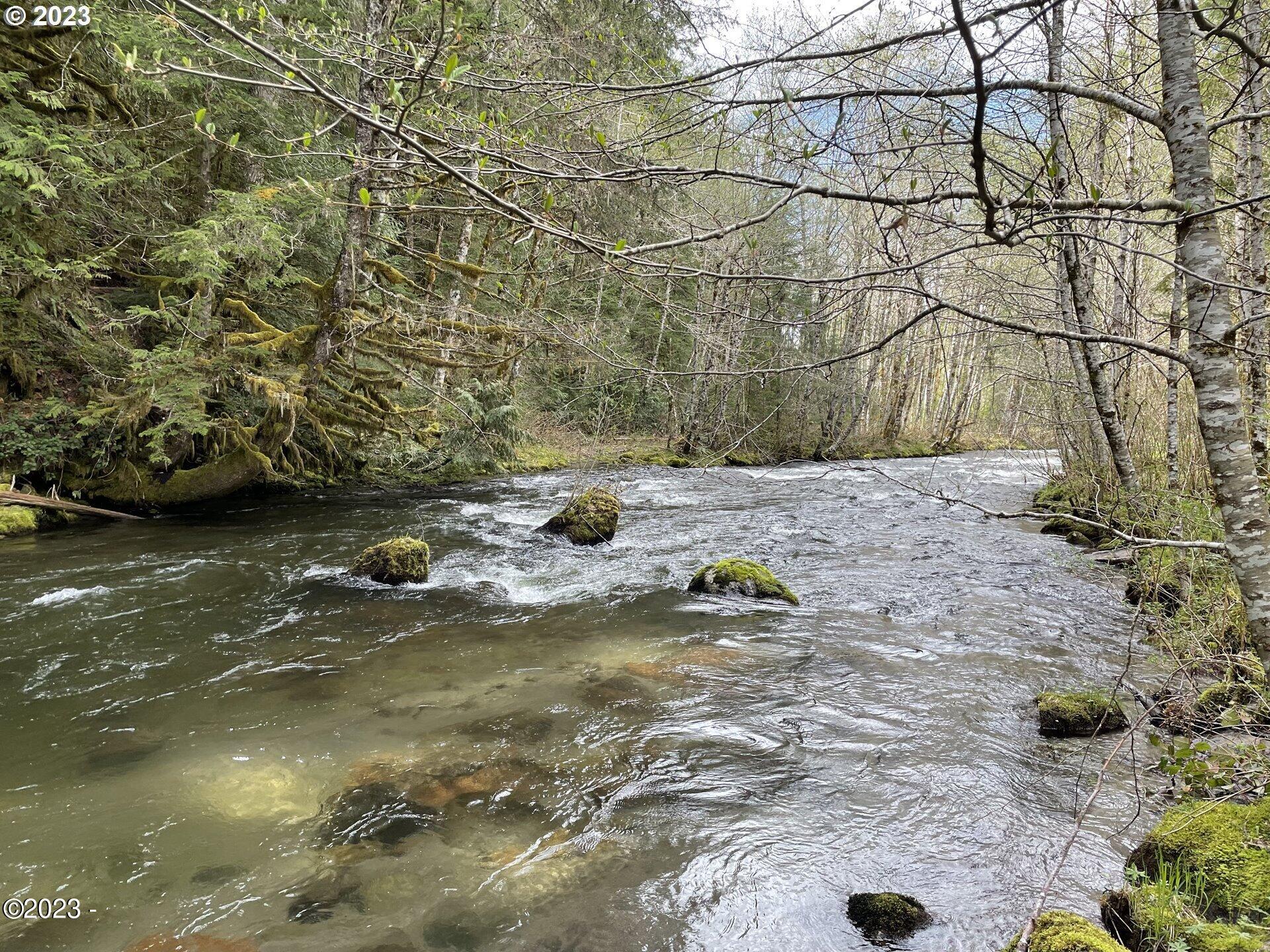 74312 Road 24 Rhododendron, OR 97049 - Photo 5 of 5 23223350-16