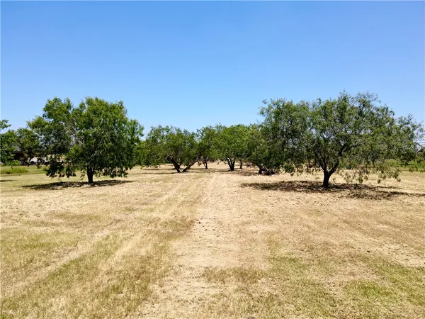 $199,000 | Lot 10 Nakishwana Circle, Sandia, TX 78383