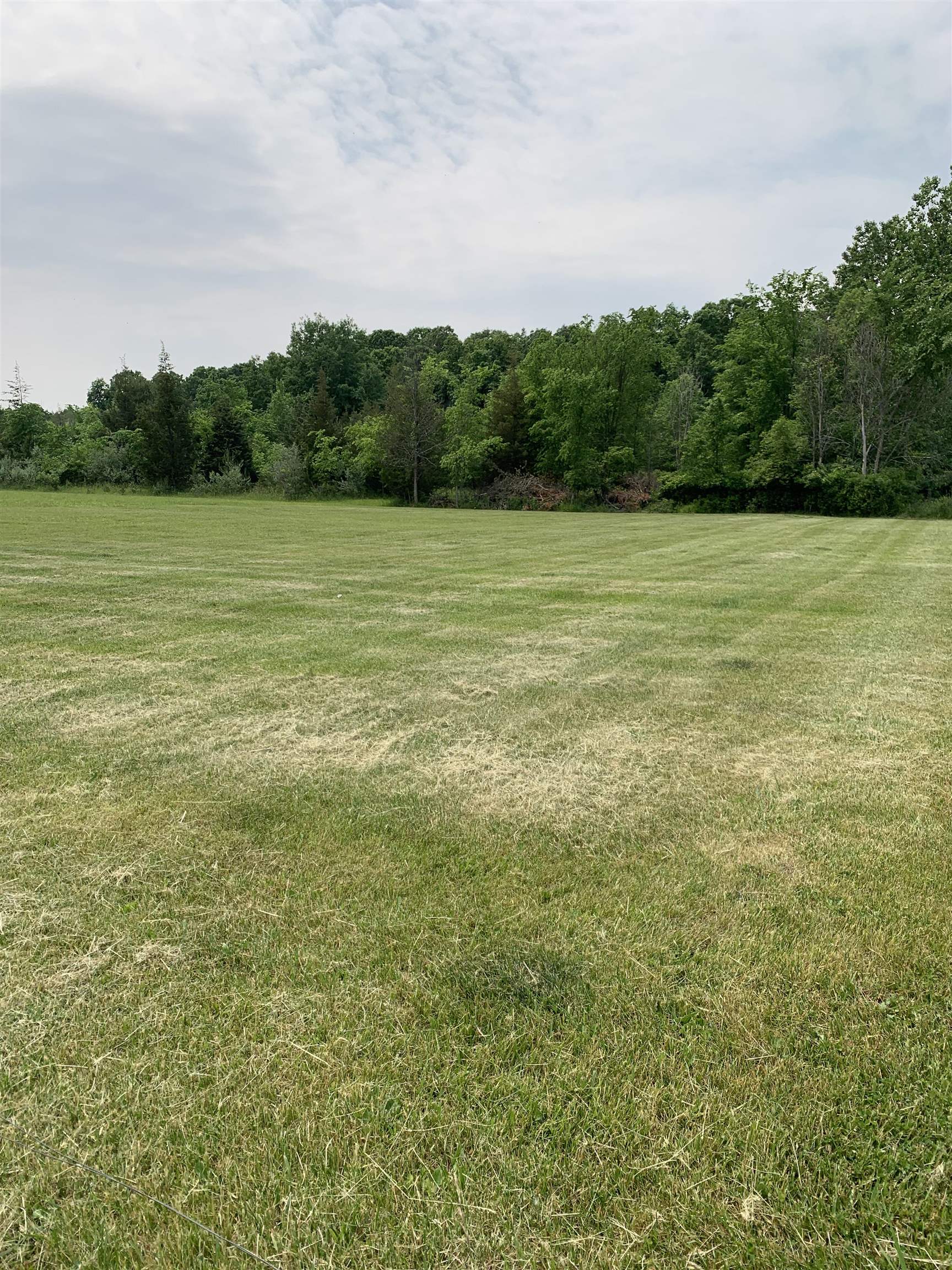 17290 South Raucholz Road Oakley, MI 48649 - Photo 10 of 31 50111181-9.JPG