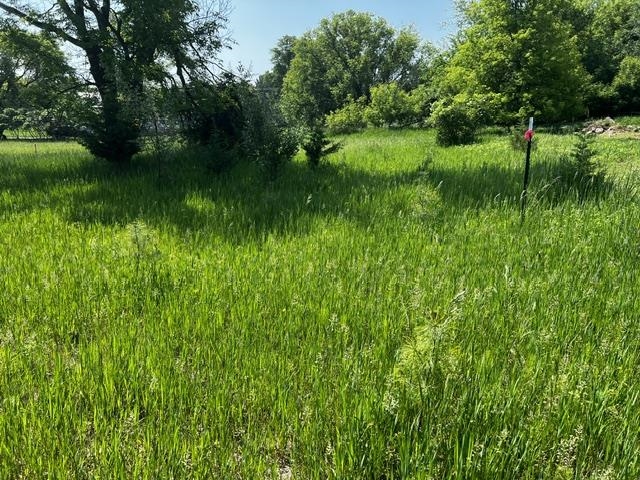 Hill Street, Unit 3 Markesan, WI 53946 - Photo 6 of 9