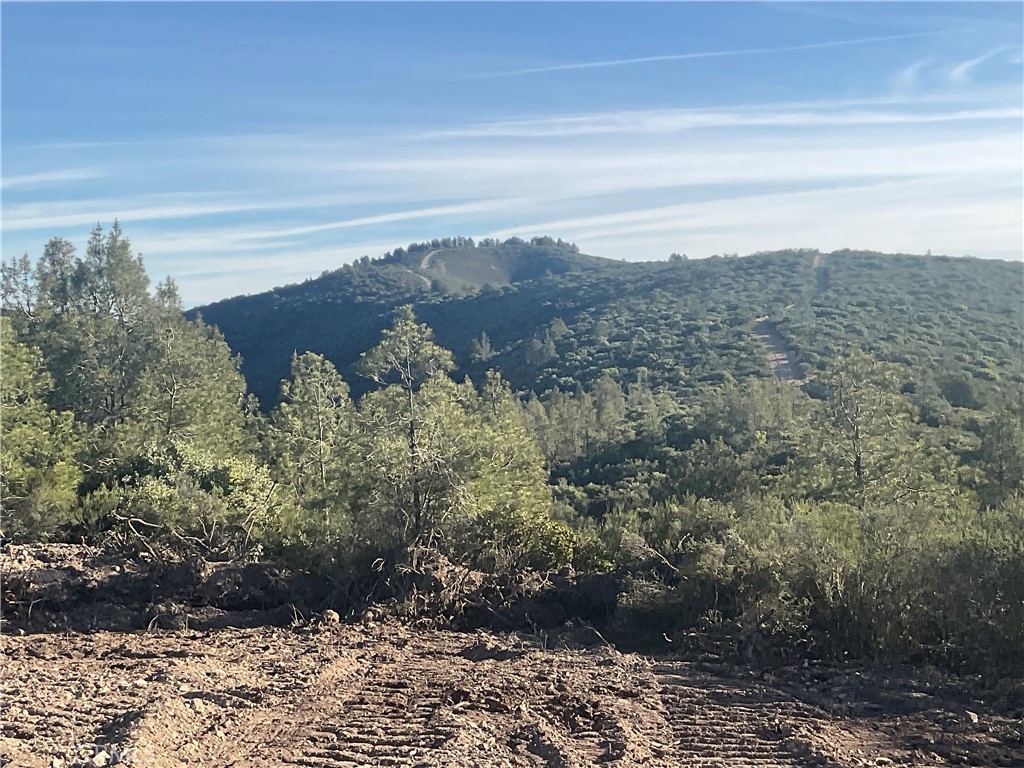 21 Argyle Road King City, CA 93930 - Photo 13 of 38 a view of a yard