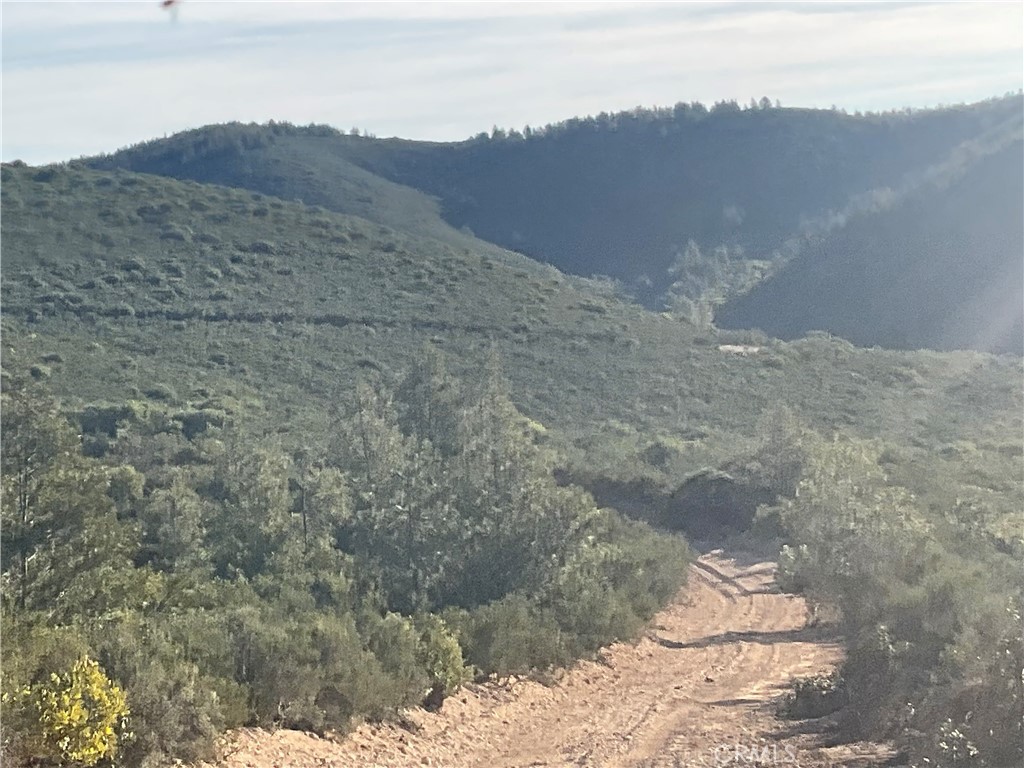 21 Argyle Road King City, CA 93930 - Photo 15 of 38 a view of a dry yard