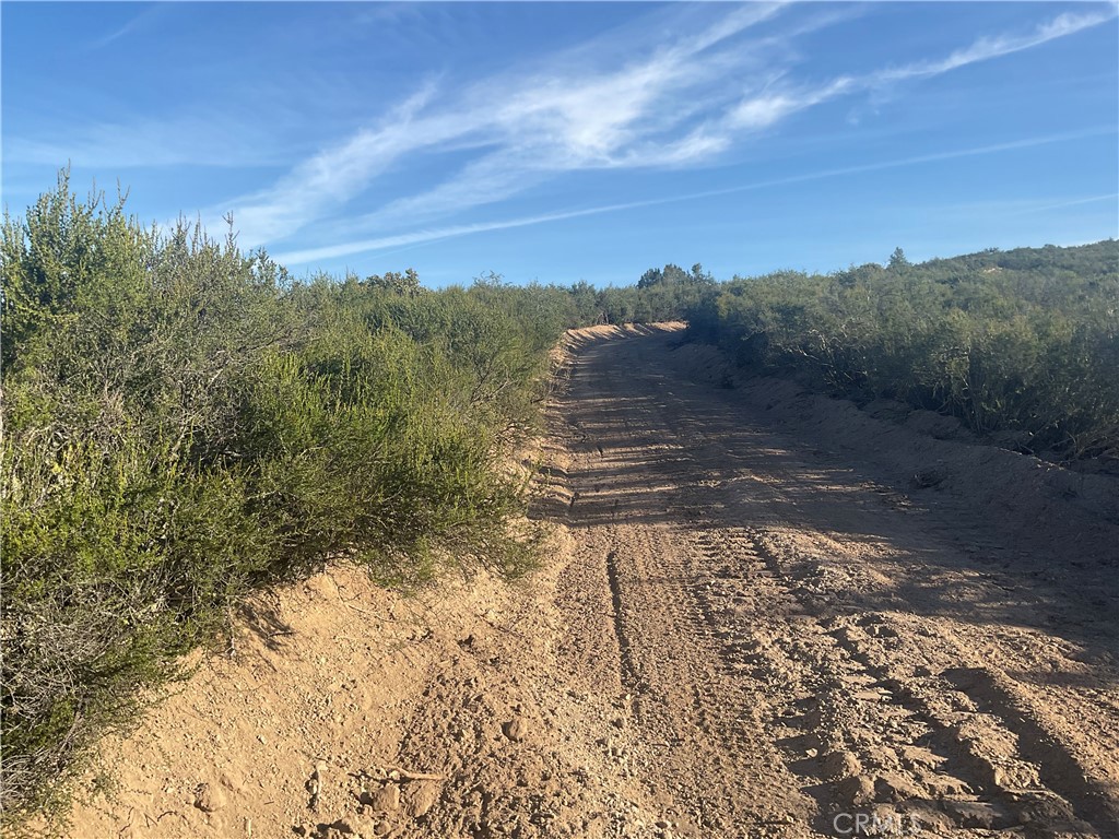 21 Argyle Road King City, CA 93930 - Photo 2 of 38 a view of a yard with an outdoor space