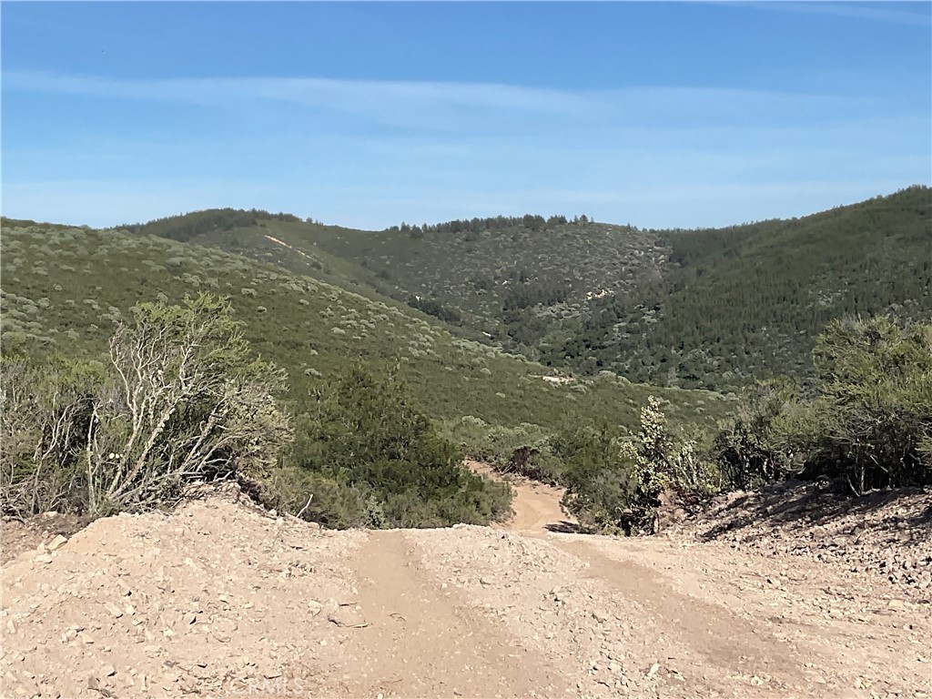 21 Argyle Road King City, CA 93930 - Photo 22 of 38 a view of a yard covered with snow