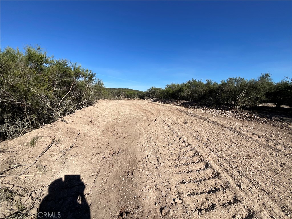 21 Argyle Road King City, CA 93930 - Photo 32 of 38 a view of a yard with a snow on the road