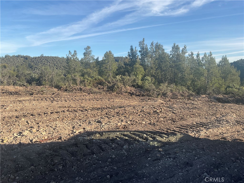 21 Argyle Road King City, CA 93930 - Photo 4 of 38 a view of a dry yard with trees