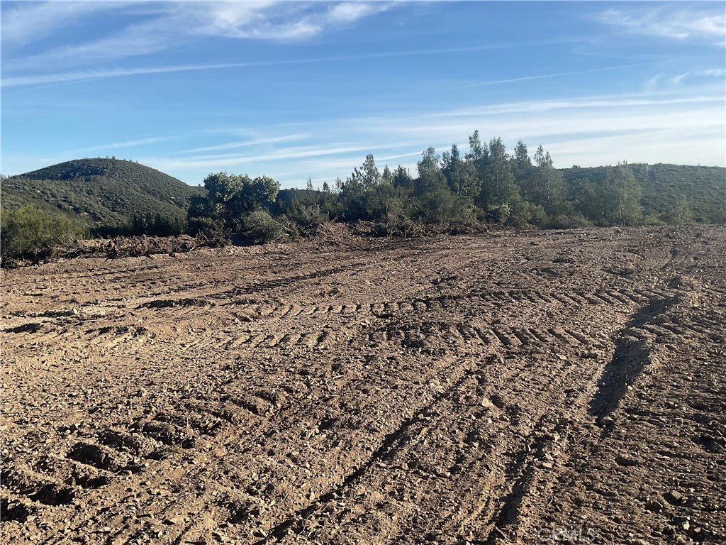 21 Argyle Road King City, CA 93930 - Photo 7 of 38 a view of a dry yard with trees