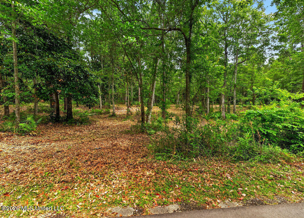 0 Eagle Point Road Ocean Springs, MS 39564 - Photo 5 of 48 EaglePointLot-14