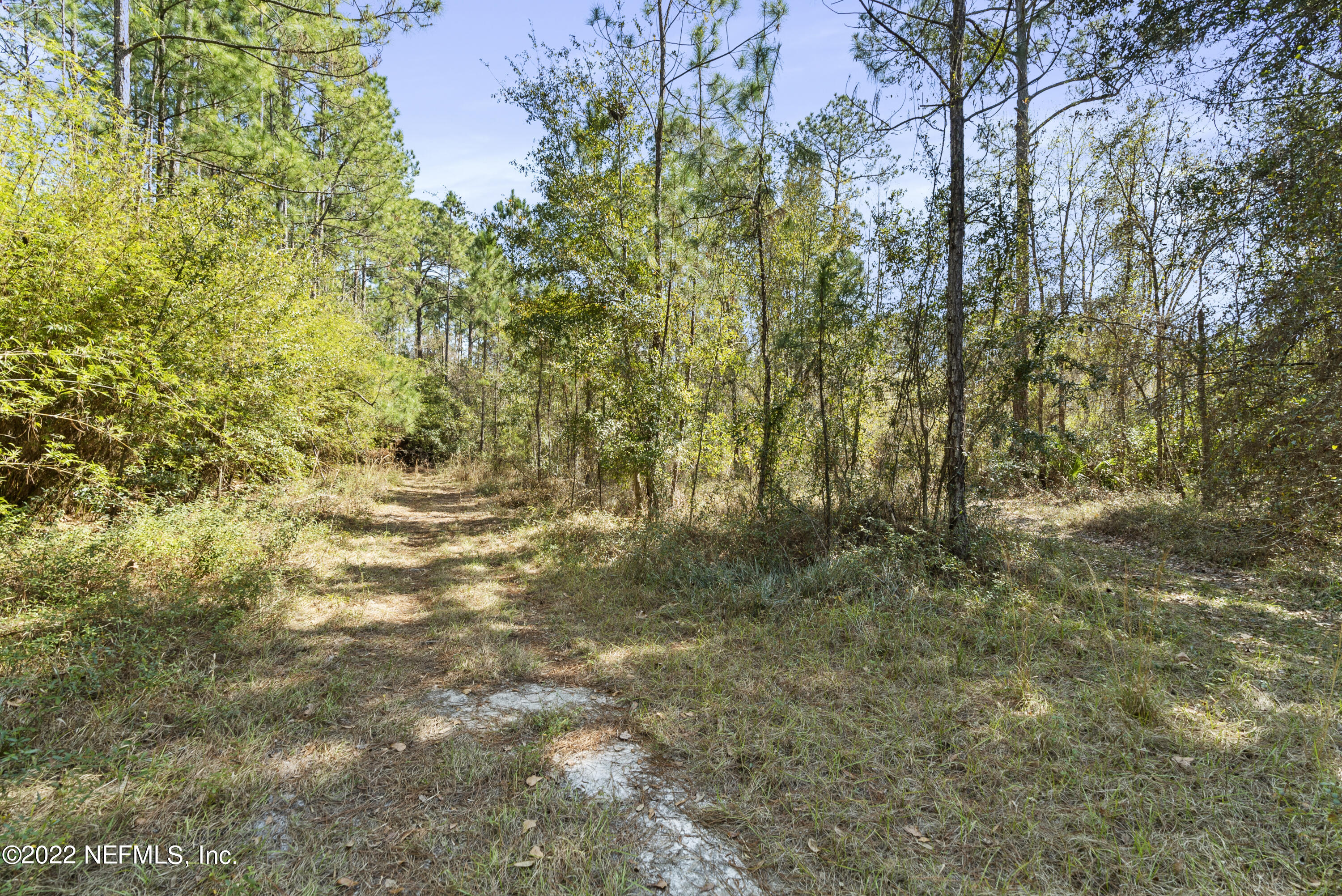 1191 Foxmeadow Trail Middleburg, FL 32068 - Photo 2 of 22 DSC08099