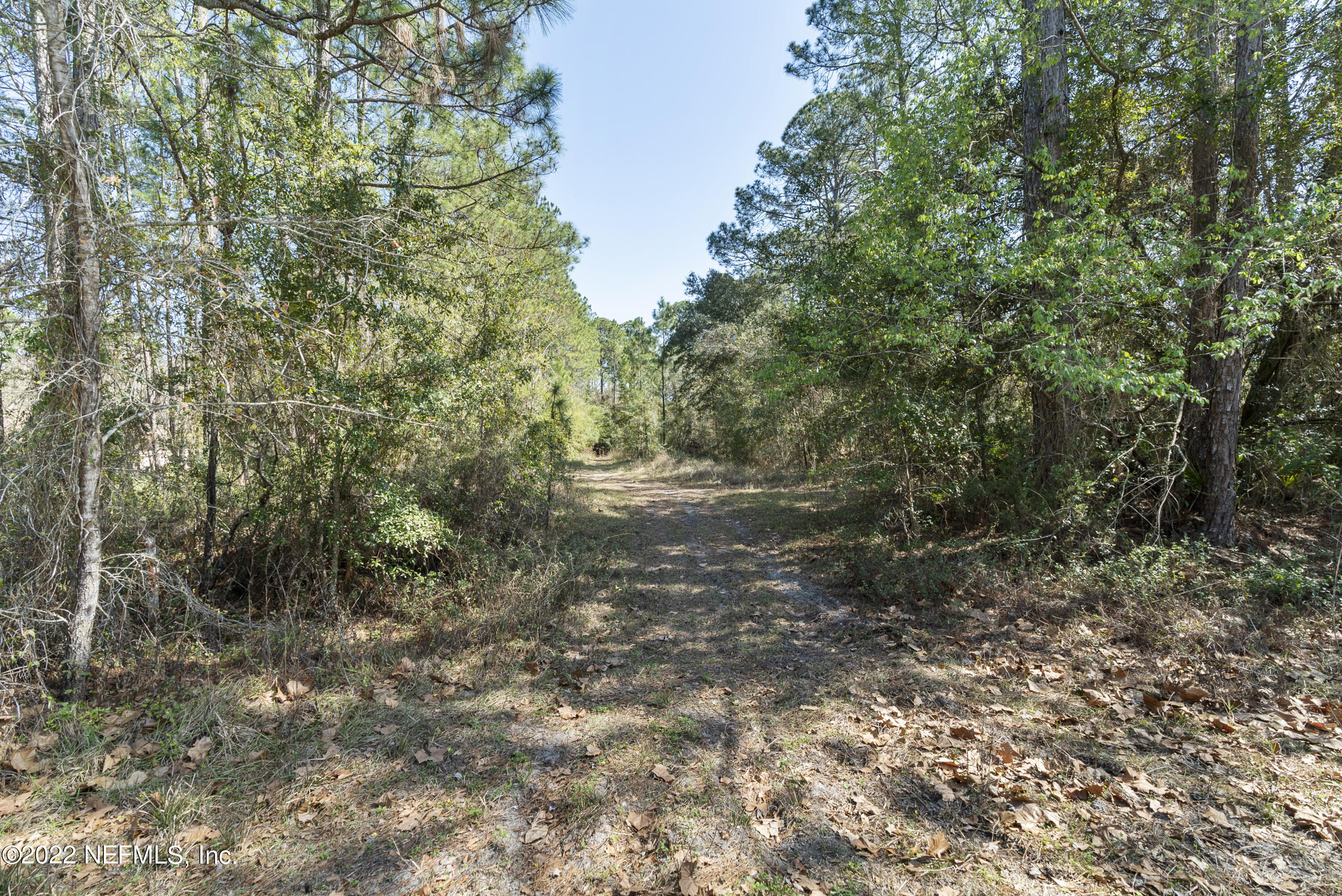 1191 Foxmeadow Trail Middleburg, FL 32068 - Photo 5 of 22 DSC08132