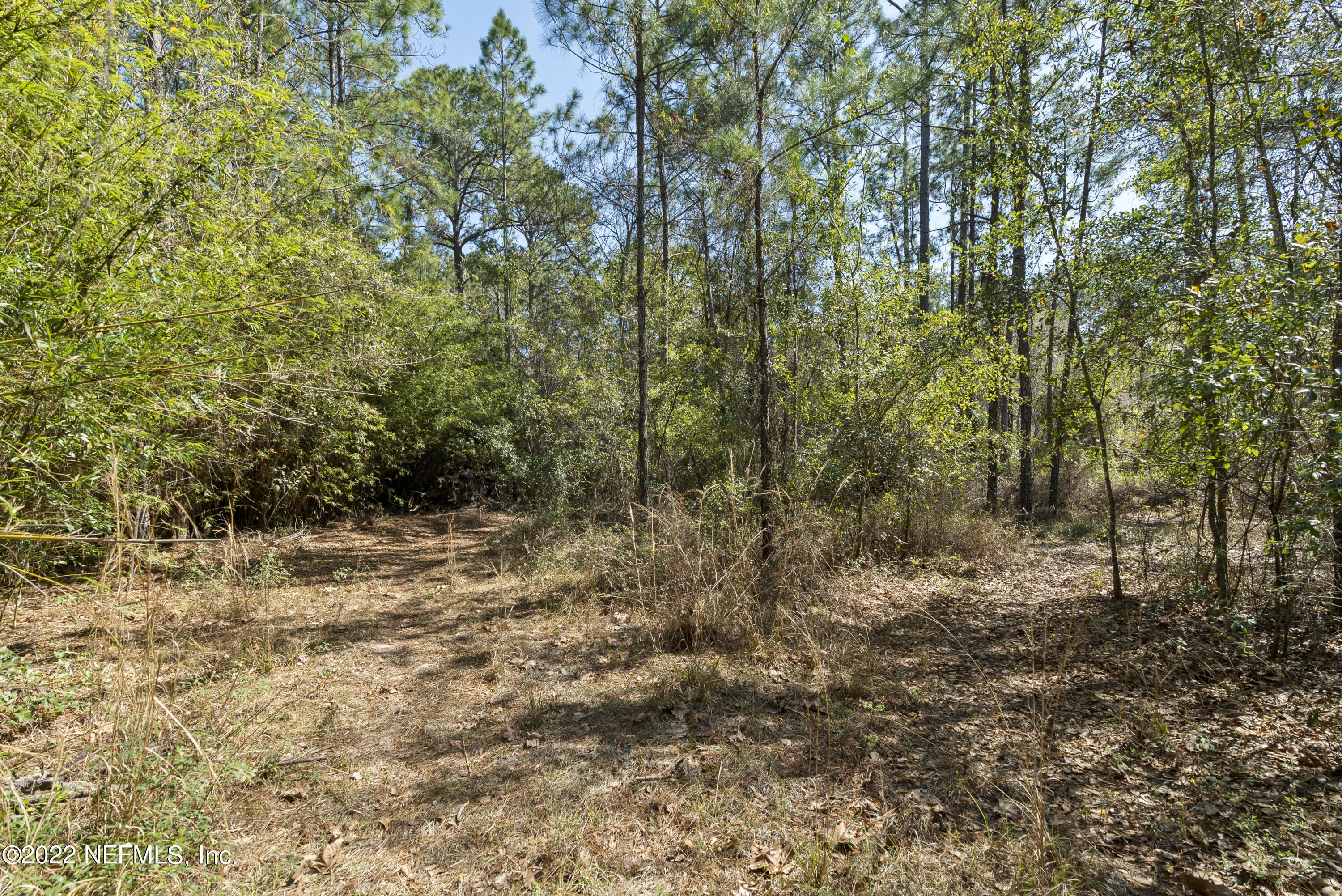 1191 Foxmeadow Trail Middleburg, FL 32068 - Photo 6 of 22 DSC08093