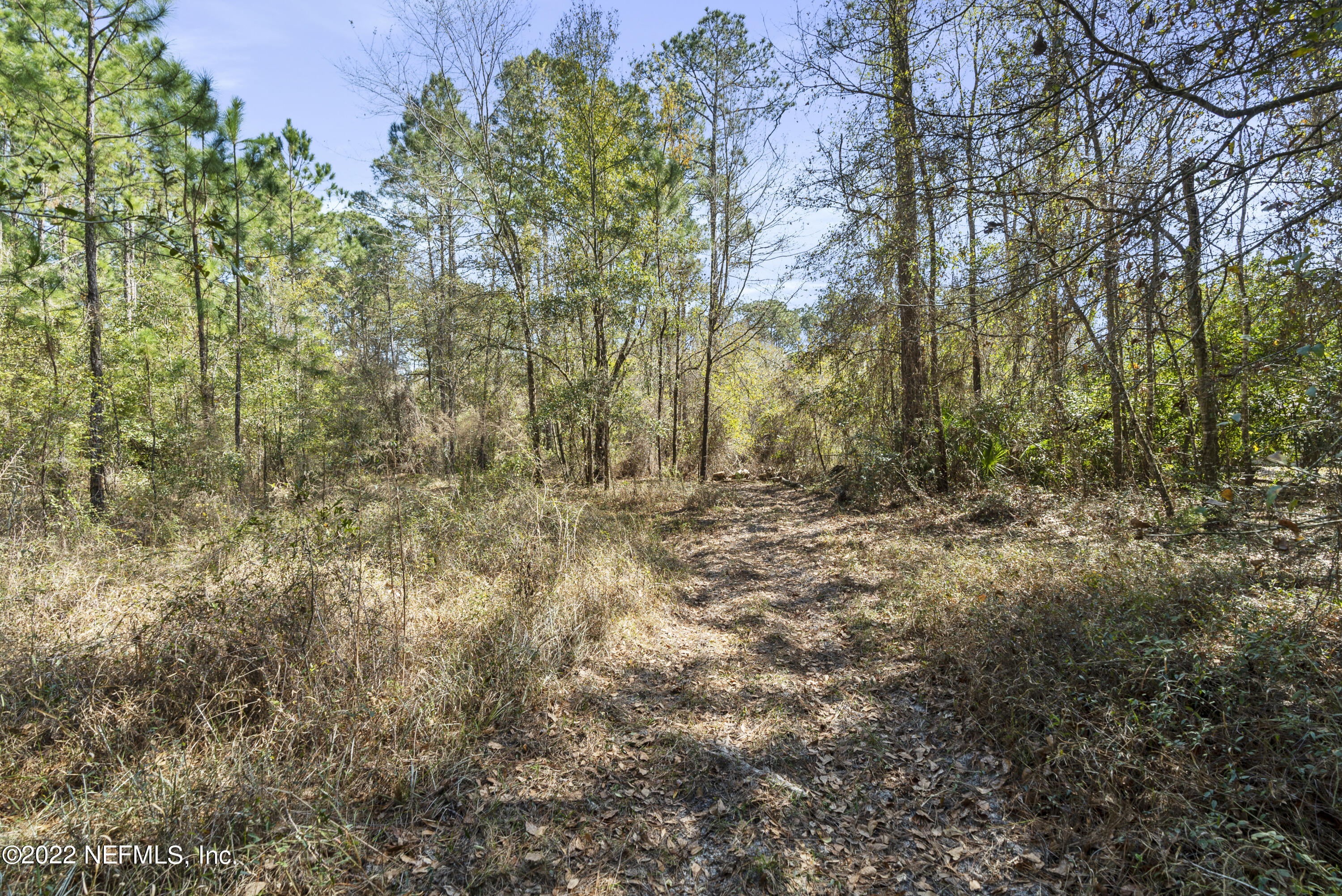 1191 Foxmeadow Trail Middleburg, FL 32068 - Photo 7 of 22 DSC08105