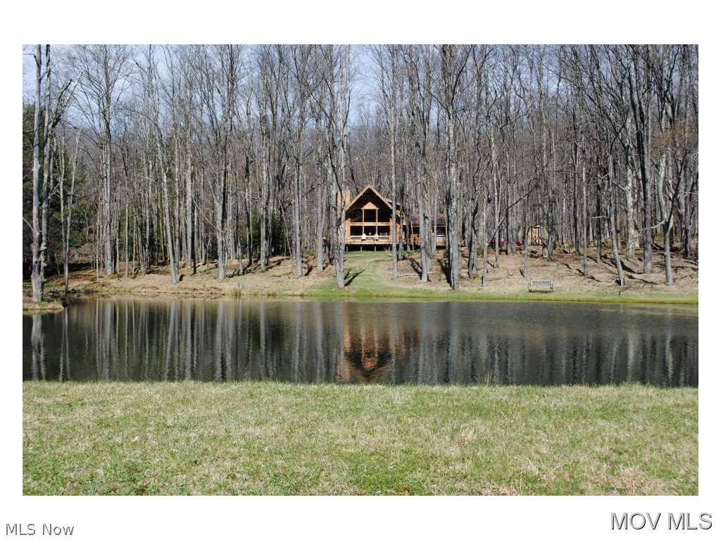 579 Lakeview Road Davis, WV 26260 - Photo 16 of 19 Early Spring